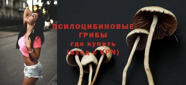 спайс Богородицк