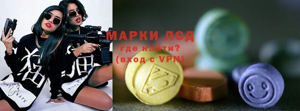 шишки Бородино