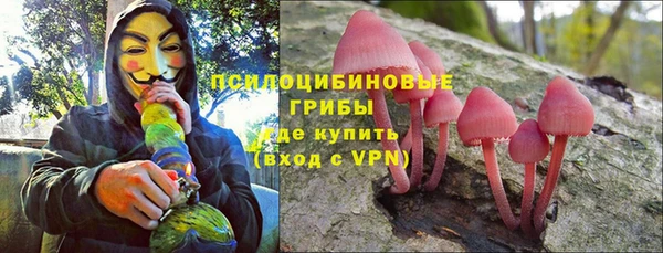 спайс Богородицк