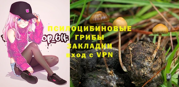 прущий лед Богданович