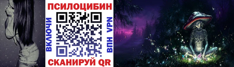 Галлюциногенные грибы Psilocybine cubensis  Купить  Клинцы 